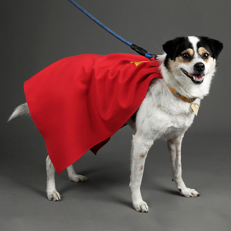 现货2025新超人宠物cos服氪普托同款披风狗狗宠物衣披风5587-DOG