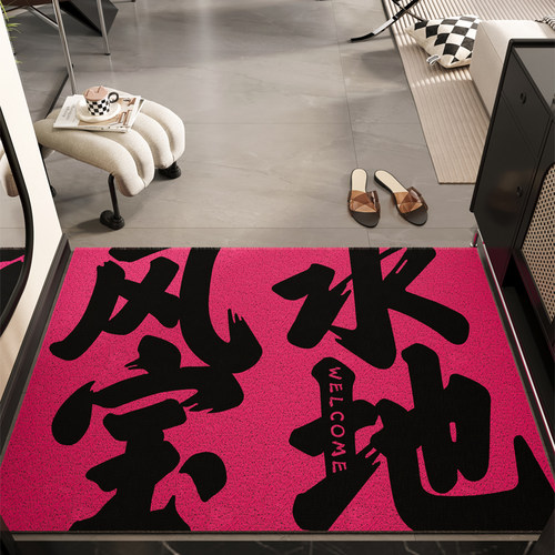 风水宝地入户门地垫门口进门脚垫