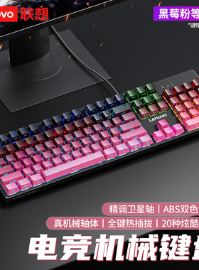 联想104键机械键盘极光GK10有线等高线电竞游戏专用办公电脑通用