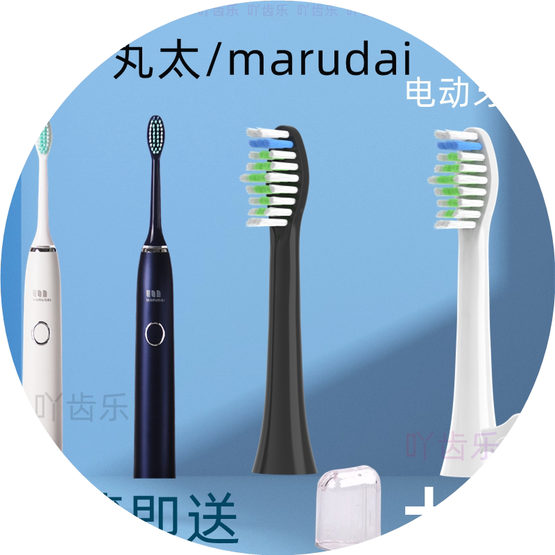适配日本丸太marudai成人电动牙刷头MS-C1191通用替换成人