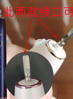 适配泰康拜博BYBO电动牙刷头声波通用成人S3/C3/T3/T9/P9/H9