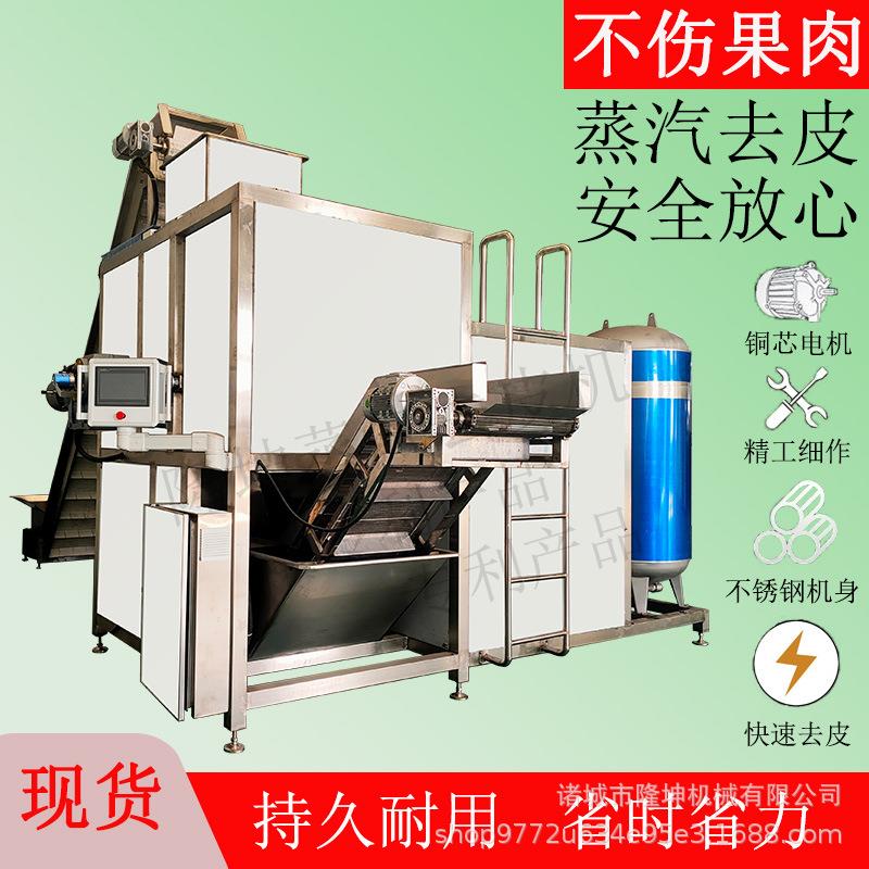 现货葡萄黄桃设备罐头加皮工 生产线去皮机 果汁生产线去脱皮设备