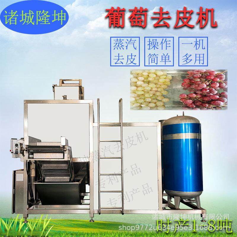 果蔬全自动去功 皮机 大型商用葡萄苹黄桃脱皮机多能土豆果削皮机