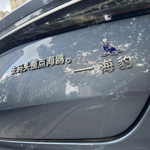 比亚迪海豹突击队饲养员好人有个性车贴创意3D立体尾标装饰尾标贴