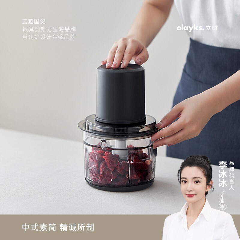 德国进口绞肉机家用电动小型多功