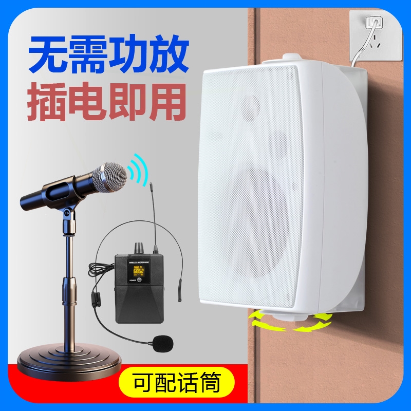 舞蹈室小型教室培训室音响会议室无线麦克风话筒套装壁挂教学音箱