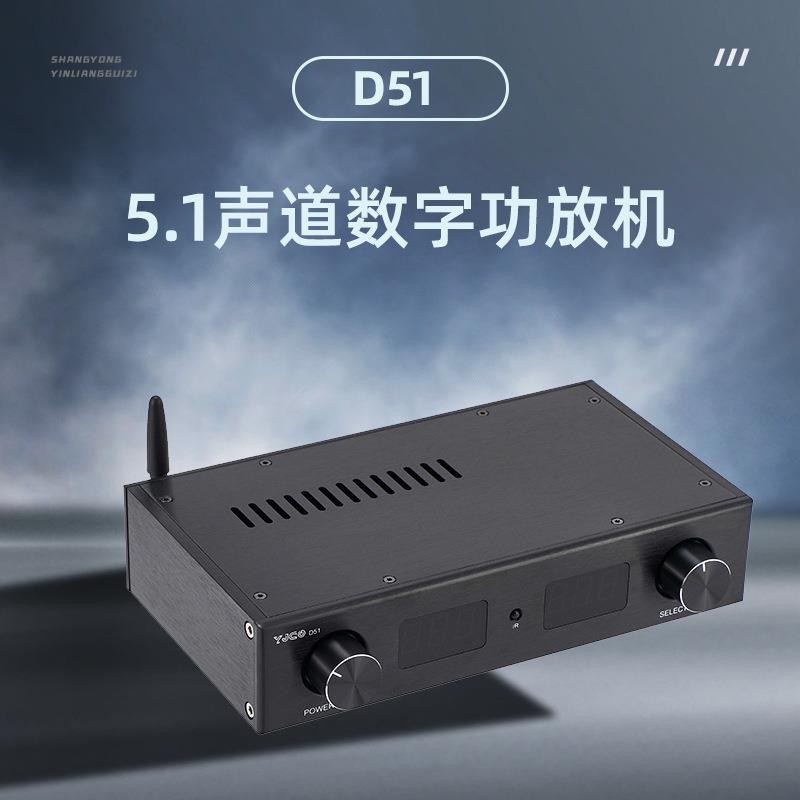 D51TPA31165.1声道数字功放机