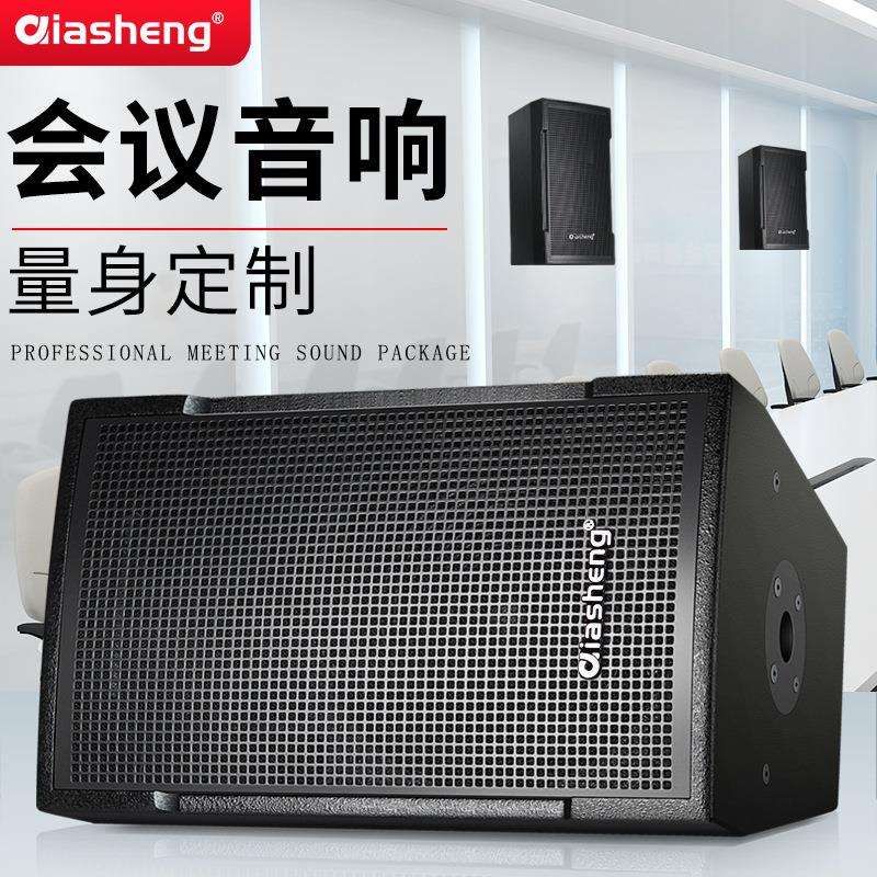 QIASHENG专业会议室音响舞台教室专用音箱健身房卡拉OK音箱设备