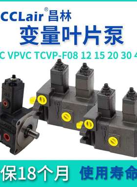 VPKCC TCVVP叶片VB1B1油泵VE1E1 VPVC TCVP VPKC-F12/15/20/30/40