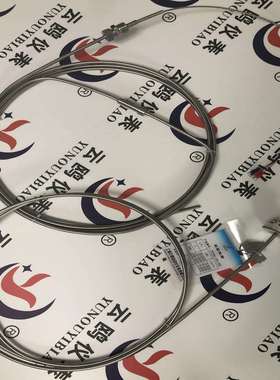 WZPK-105pt100热电阻芯WZPK2-338WZPK-505S