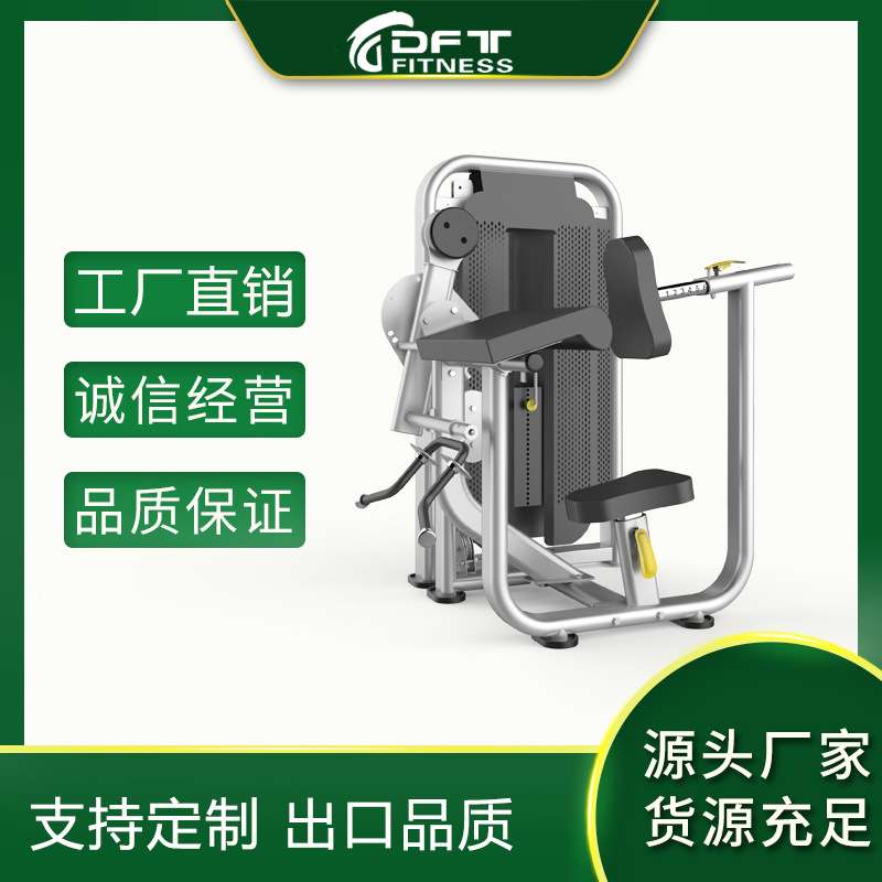DFT-1690健身房企事业单位用二头肌三头肌训练器商用健身器材