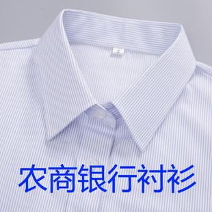 农商行服男式衬衣蓝色条纹衬衫女广东信用社工作装人保长短袖