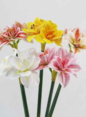 2025新款仿真朱顶红软胶客厅装饰仿真花艺插花PU君子兰假花摆件