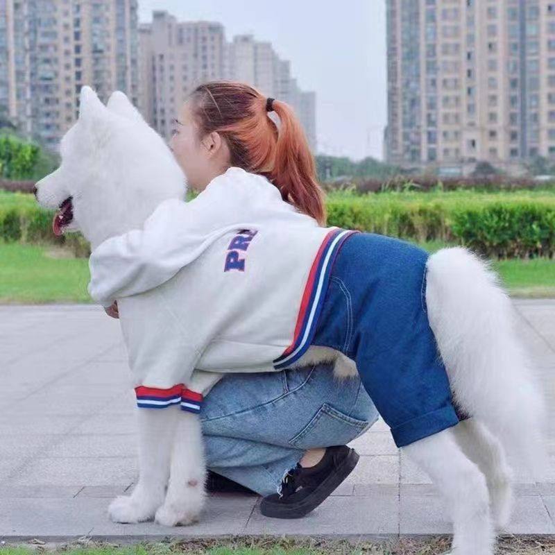 大狗狗衣秋冬金毛拉布拉多萨摩耶冬季加厚中大型犬冬天牛仔四脚包,宠物/宠物食品及用品,狗宠物服装/雨衣,淘宝优惠券,粉丝福利购,淘宝优惠卷