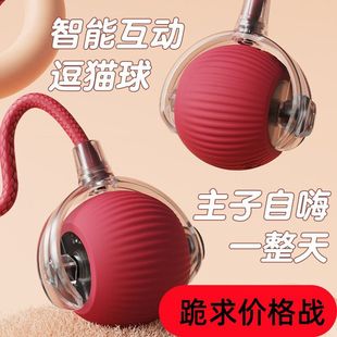 跨境耐咬自動逗貓球貓咪玩具球自嗨解悶神器帶繩寵物用品跳跳球