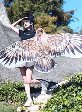 潍坊风筝大老鹰大人专用微风易飞2023年新款雄鹰级