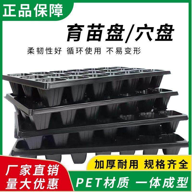 加厚西瓜西红柿蔬菜多肉芽菜扦插辣椒秧苗营养育苗杯草莓育苗盆盘