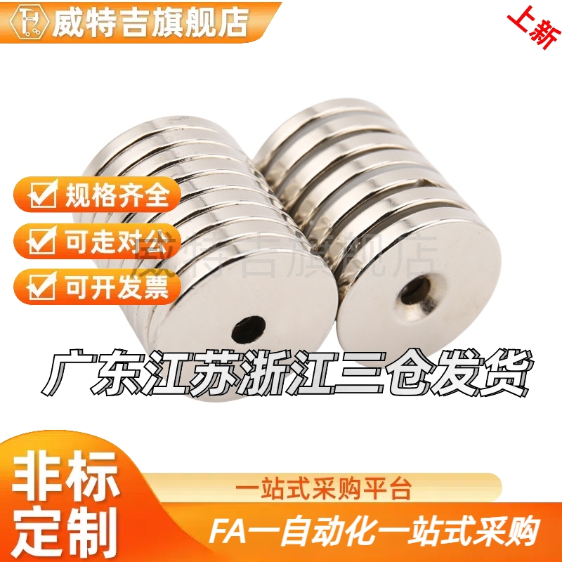 BLS65-A8/A10/A12/A15/A20/25-T2/T3/T4/T5 BLS66 螺栓固定型磁铁