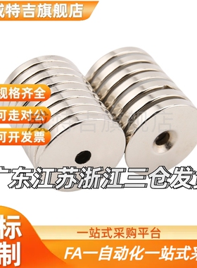 BLS65-A8/A10/A12/A15/A20/25-T2/T3/T4/T5 BLS66 螺栓固定型磁铁