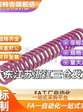 替代NT-SWC SWC6/8/10/12/14-10-15-20-25-30-35矩弹簧