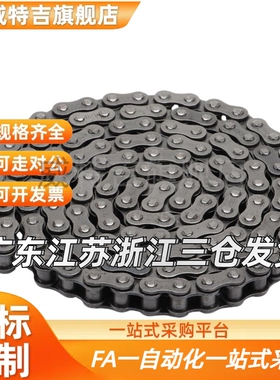 链条VMB/VMC/VMD/VMF/VMG/VMK/VML/VMN01-25/35/40/50/60/80/100