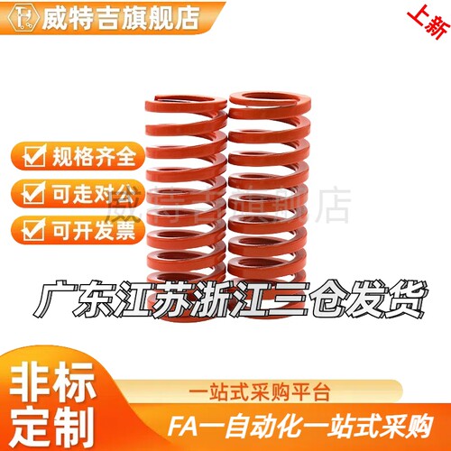 X-SWS31 37-30-35-40-50-60/70/80/90/100矩形55弹簧YSWS-D37-L75