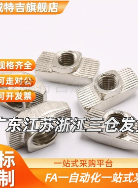 代怡和达尺寸AHC21/308/4010/408/G306/G408-M4/M5/M6螺母T型