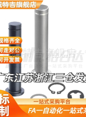 卡簧销不锈钢MIC11-D3/MIC11-D4/L10/20/30/40/50/55带肩铰链销