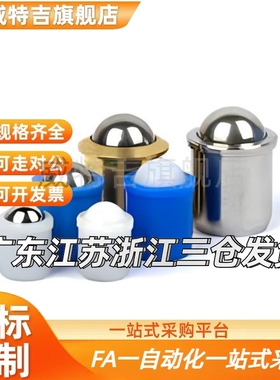 压入式球头柱塞PFSSN/PFSSR/PFPSN/PFPPN2/3/4/5/6/8/10不锈钢