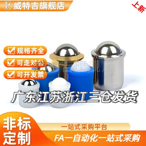压入式球头柱塞PFSSN/PFSSR/PFPSN/PFPPN2/3/4/5/6/8/10不锈钢