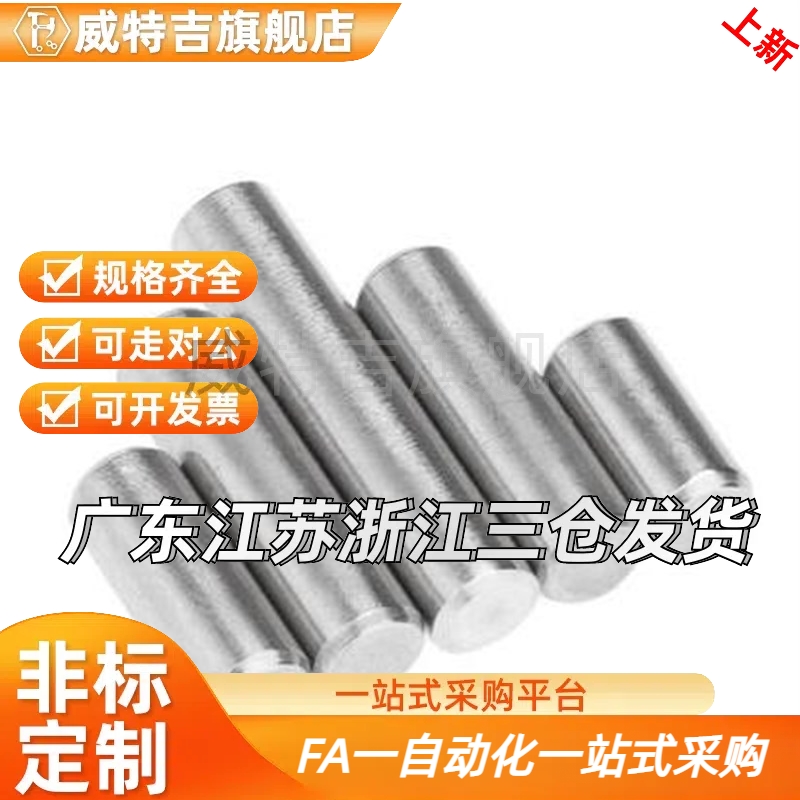 替BLZ01 BLZ31 圆柱销正/负公差定位D销 锥角型 m6/g6 直径3/4/5/