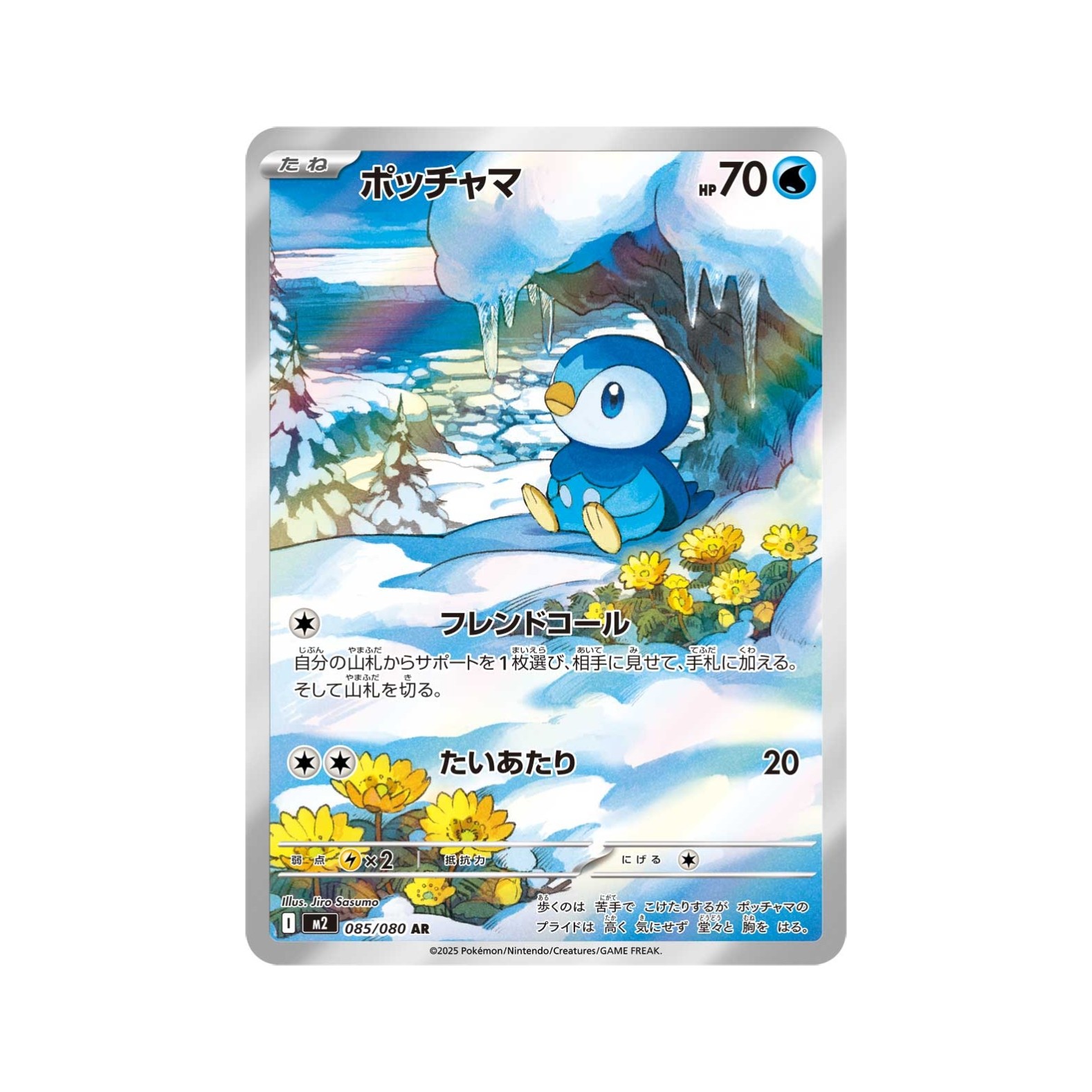 宝可梦MEGA系列M2烈狱狂火AR卡