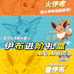 宝可梦PTCG正版官方周边伊布进阶礼盒简中伊布卡册卡套骰子指示物