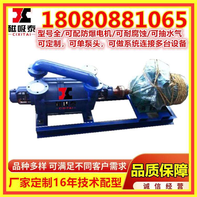 2SK12水环式真空泵22KW水环泵水循环液环泵头不锈钢无油