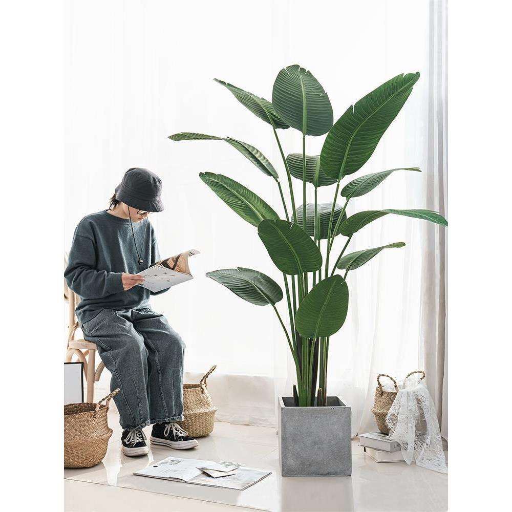 仿真绿植假植物装饰室内旅人蕉盆栽仿生龟背叶北欧大型客厅摆件树