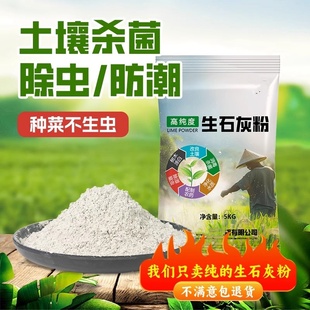 生石灰种菜专用杀虫正宗石灰粉干燥剂除湿家用鱼塘消毒白灰粉防虫