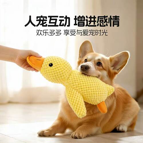 解闷玩具-毛孩子在家不孤单拆家