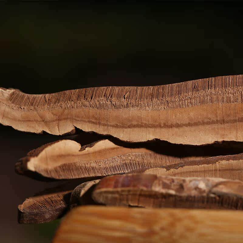 赤GHZ南深灵山灵芝片 赤芝片 灵芝干 干片 正宗云新货灵芝切片