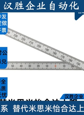 BLR51/52/55/56/61/62/65/66-L100 200 300 零下零中纵向刻度标尺