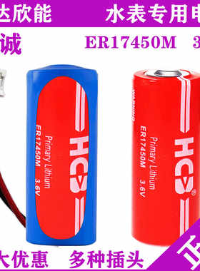 昊诚ER17450M3.6V水表IC卡电池