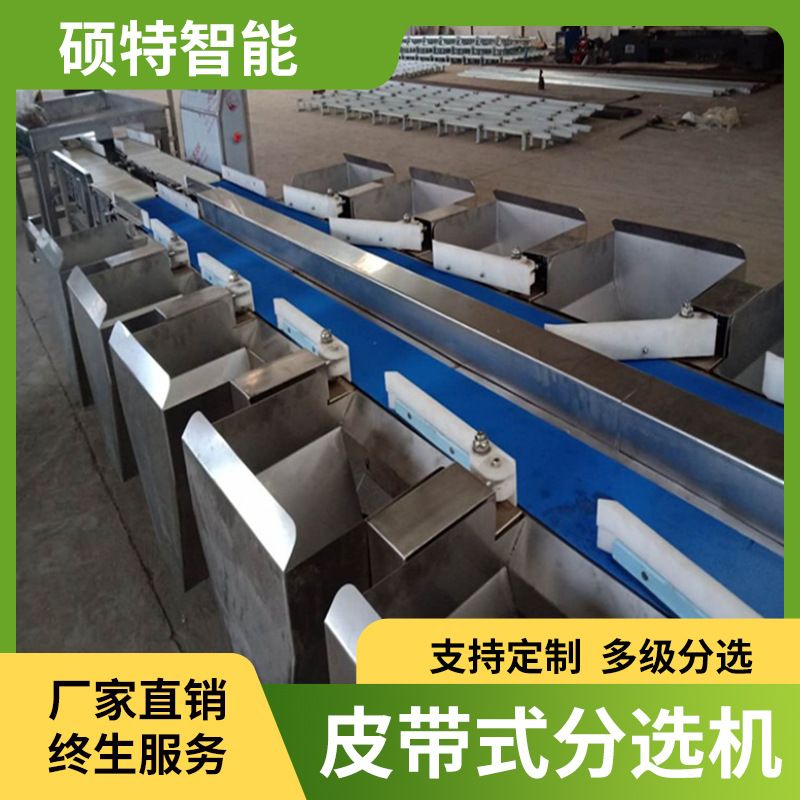 罗非鱼白条鸡双通道皮带分拣机 鹌鹑冷冻鱼拨杆式重量分选机