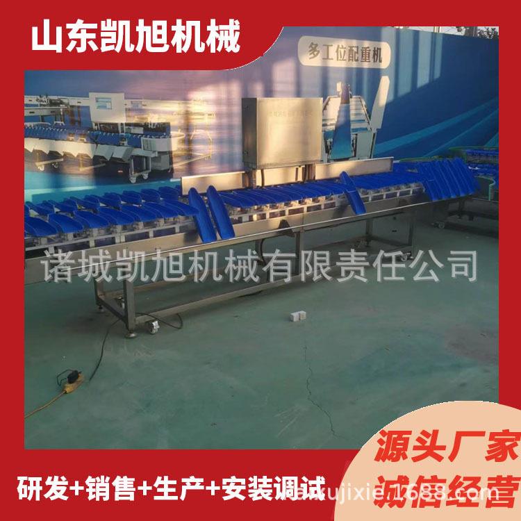 专业定做海参鲍鱼分头机器 即食海参自动称重分级机 扇贝肉分选机