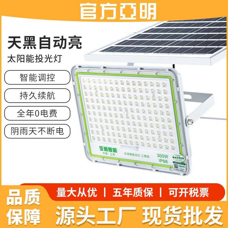 上海led投光灯户外防水庭院射灯新农村高亮路灯100200w
