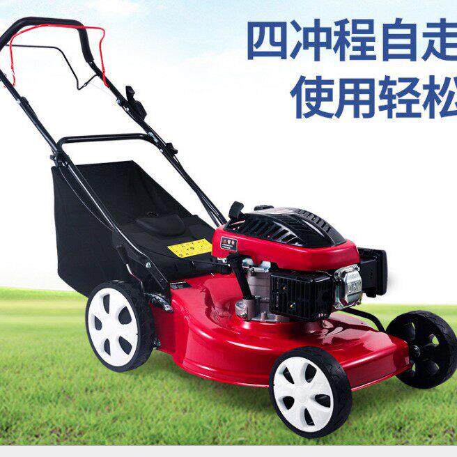 山东手推式割草机 小型四冲程草坪除草机 花园果园草坪修剪机