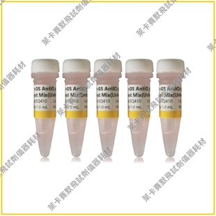 GS AntiQ qPCR SYBR Green快速预混液(通用型)染料法qPCR高灵敏度