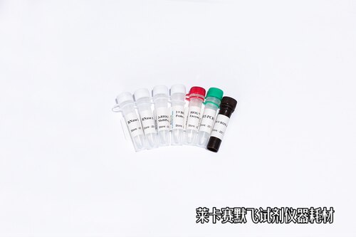 BIOG Super Probe OneStep Kit一步法超级荧光定量PCR试剂盒-探针