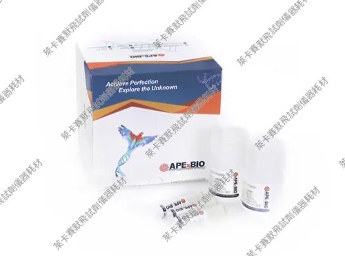 APExBIO 一步法TUNEL Cy3细胞凋亡检测试剂盒，细胞凋亡检测(Cy3) - 实物图