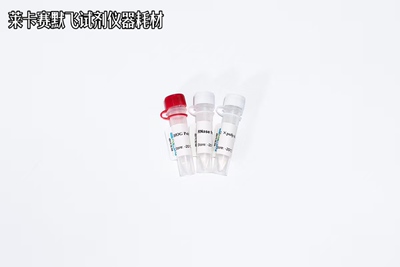 BIOG PolyA聚合酶,Poly(A) Polymerase,具有高效的PolyA聚合性能
