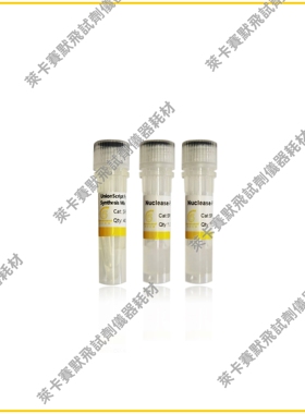 用于qPCR的UnionScript第一链cDNA合成预混液  快速高效PCR预混液