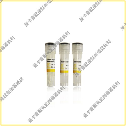用于qPCR的UnionScript第一链cDNA合成预混液  快速高效PCR预混液
